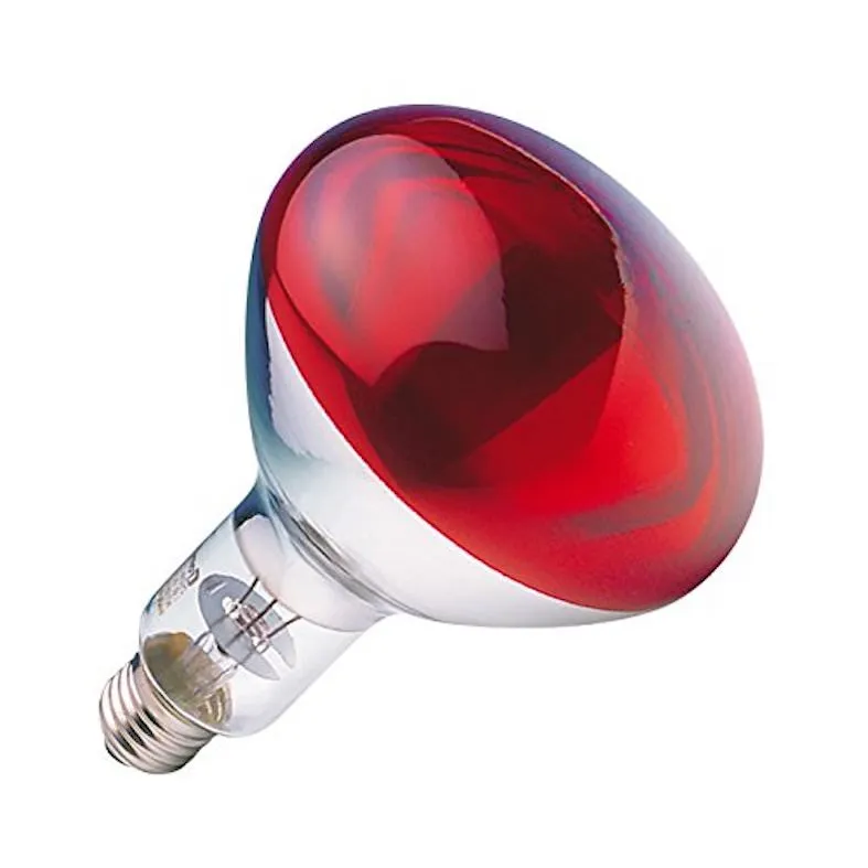 Infrared Lamp