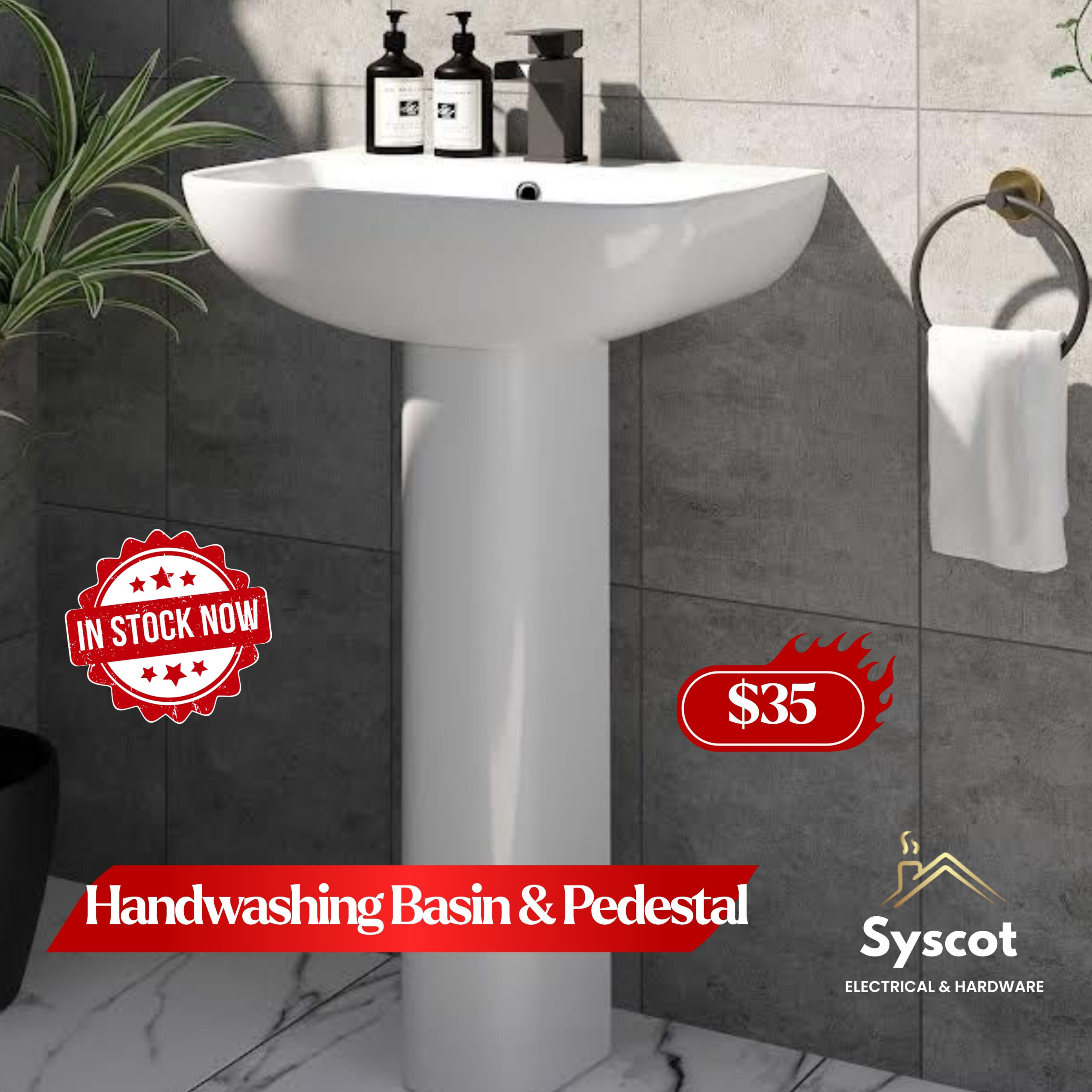 Handwashing Basin & Pedestal
